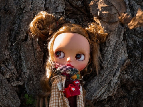 Custom Blythe Doll by RaphaelaDolls