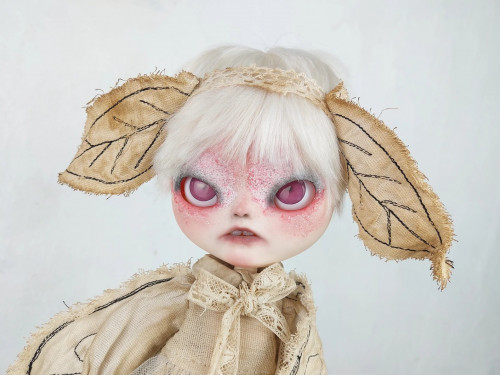Custom Blythe OOAK Moth asian doll by AlinariShop