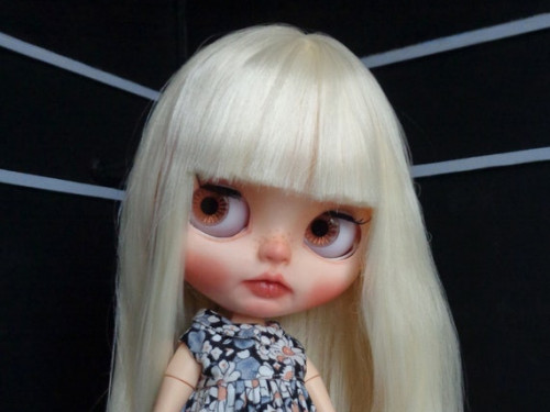 Custom Blythe doll Kimberly & Toto by Blythetinyworlds