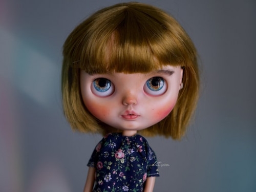 Blythe doll custom, Takara FBL Slow Nimes  – Alexa, ooak doll by LetvonDolls