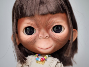 Monkey ooak custom blythe doll original base by ToysMFDream