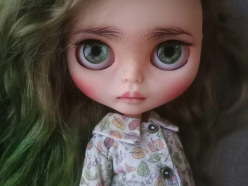 Custom Blythe Doll by sabridollsmarket