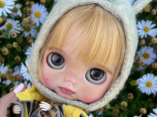 Custom Blythe Doll by AnnaRulenko