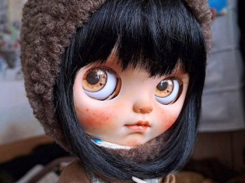 Custom Blythe Doll by BruinyDolls